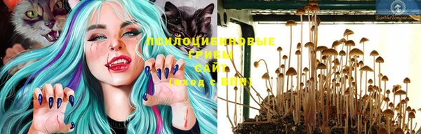 PSILOCYBIN Лихославль