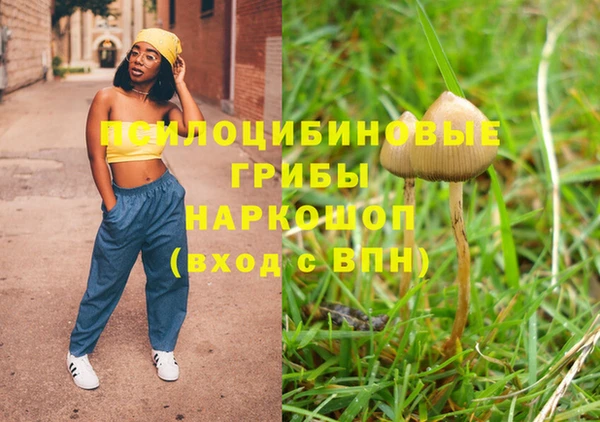 PSILOCYBIN Лихославль