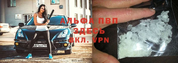 PSILOCYBIN Лихославль
