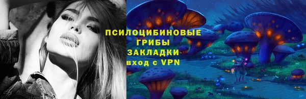 МДПВ Лиски